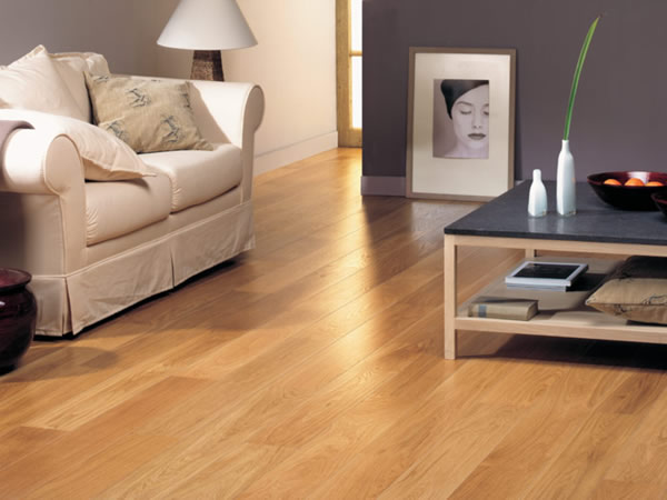 Home wood floor cleaner