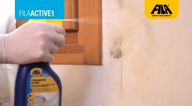Come eliminare definitivamente la muffa dal muro Come pulire i muri