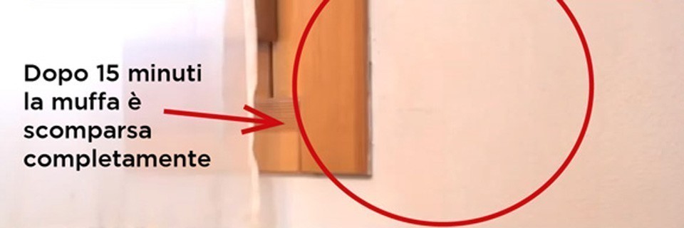 Come eliminare definitivamente la muffa dal muro Come pulire i muri