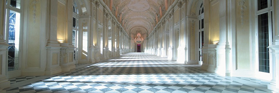 The Reggia of Venaria Reale