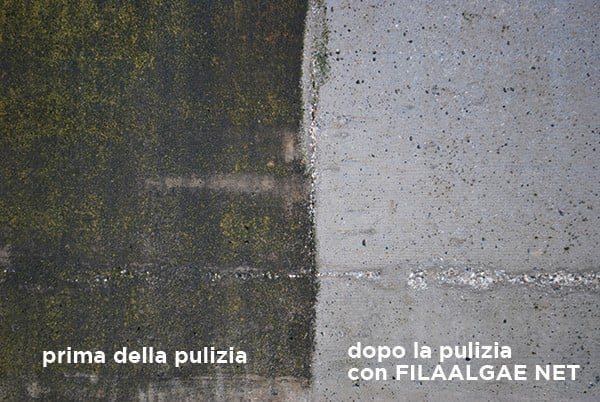 Muri esterni con problemi di alghe, muffe e annerimenti? Come pulire i muri