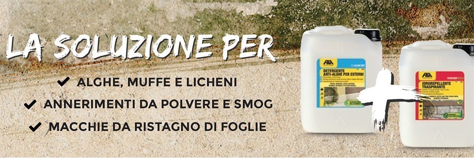 Muri esterni con problemi di alghe, muffe e annerimenti? Come pulire i muri esterni di casa