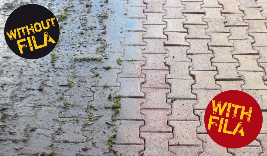 Come rimuovere muschi e licheni da mattonelle e muretti in cemento Come pulire i muri esterni di casa