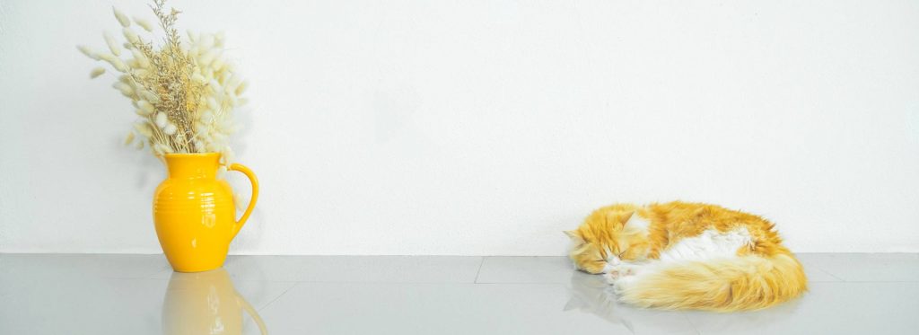 Spring cleaning 2018