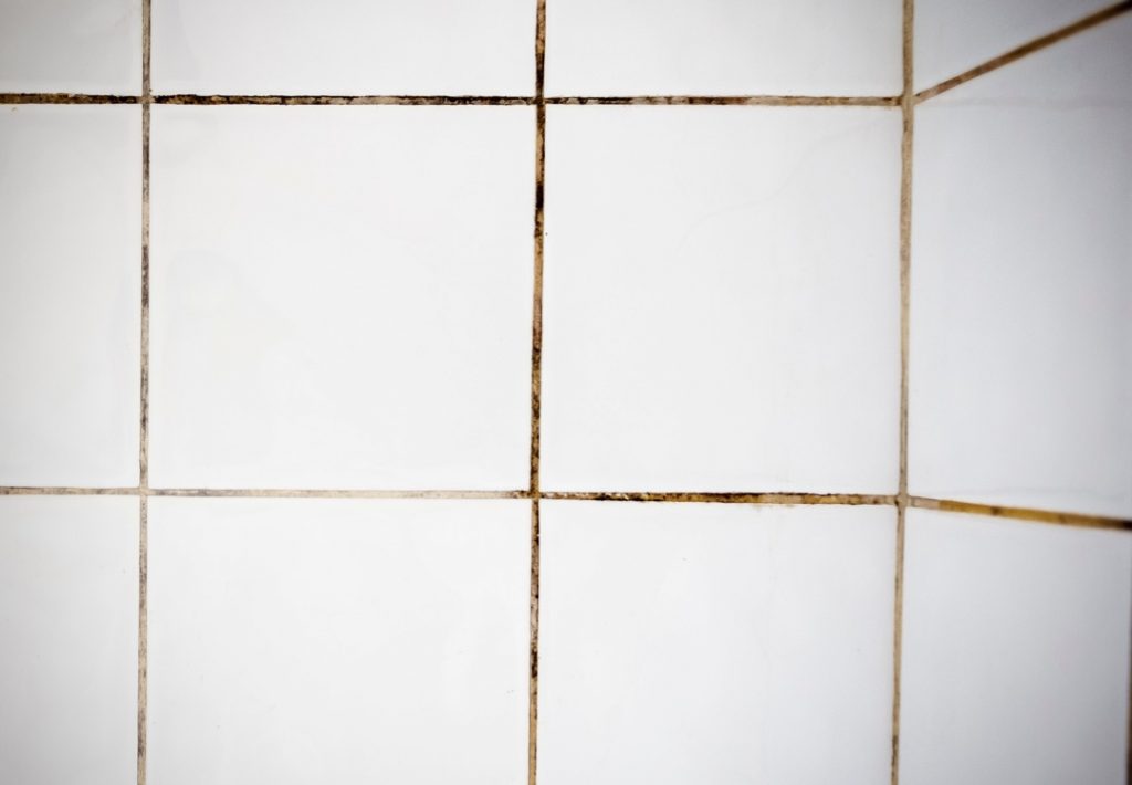 seal tile grout