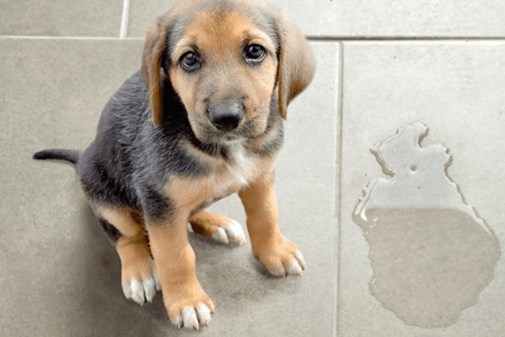 flecken auf feinsteinzeug