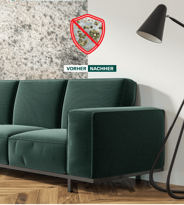Schimmel entfernen Wand